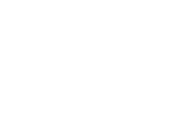 skrill logo